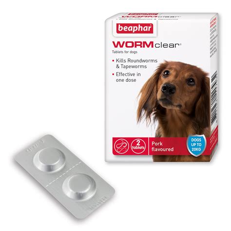 Dog Intestinal Worm Treatment at Tyson Macgillivray blog