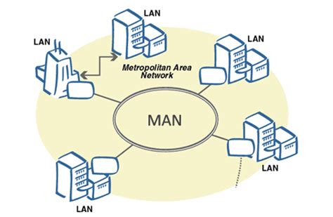 Computer Network LAN, MAN, WAN - CBSE CS and IP