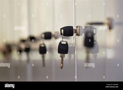 Qual O Melhor Sachê Para Gatos Filhotes - The key in the locker.There are a lot of lockers, a locker room in a ...