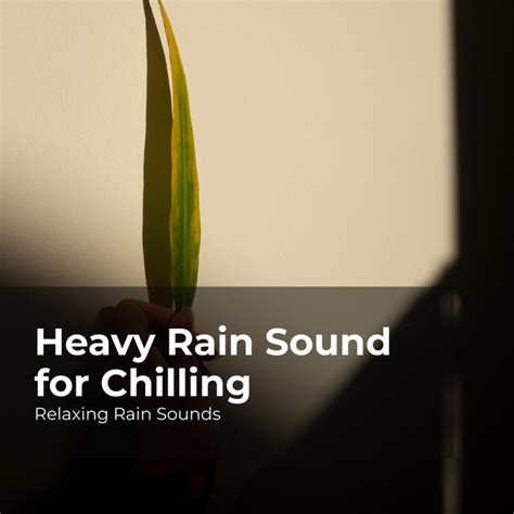 Heavy Rain Sound For Chilling Album By Relaxing Rain Sounds Spotify