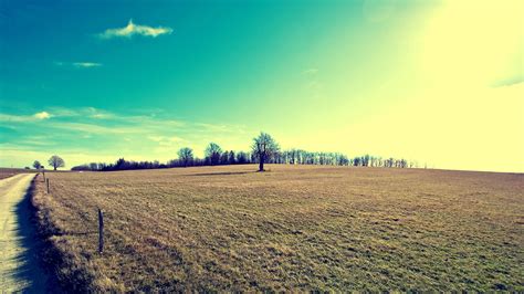 Grass field, landscape HD wallpaper | Wallpaper Flare