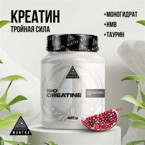 Биокреатин, креатин с hmb и таурином, гранат, порошок, 225 г купить на ...