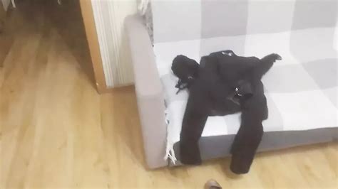 Free Amateur Cuckold Orgasm Porn Videos Xhamster