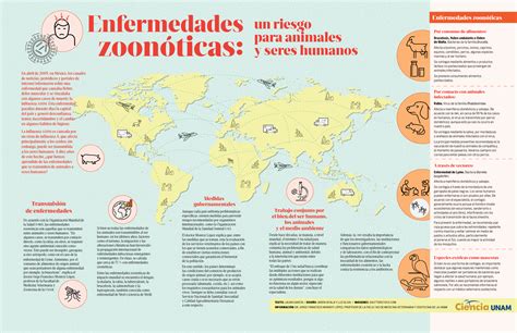 Infografía: una cadena llamada zoonosis - Ciencia UNAM