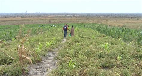 Angola Primeira F Brica De Fertilizantes No Pa S Arranca Em