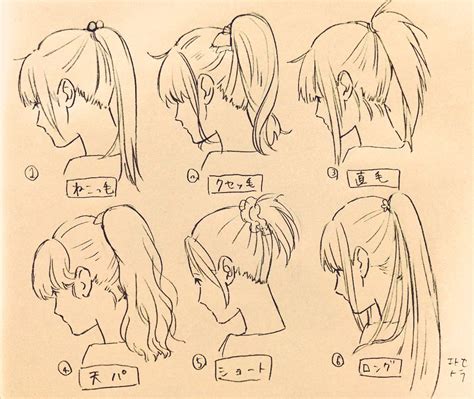 How To Draw Anime Ponytail