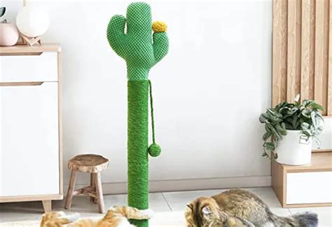 Los Mejores árboles Rascadores Para Gatos