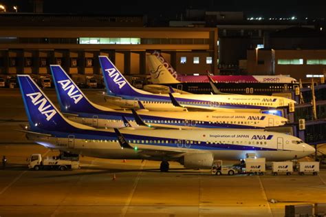 全日空 Boeing 737 800 JA81AN 中部国際空港 航空フォト by たきゅんさん 撮影2023年08月02日