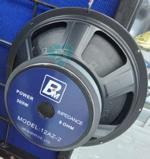 Best BM Naked Midrange Speaker Nairobi Kenya