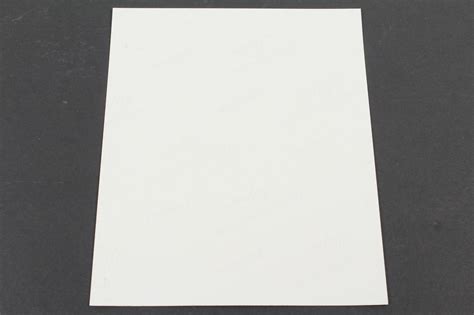 Chloe Sevigny Signed Nude Photo Auctionninja