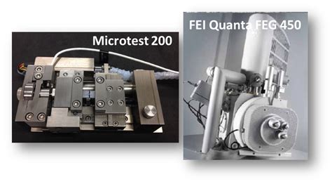 In Situ SEM Tensile Test