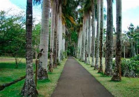 Hyderabad Botanical Gardens, timings, entry ticket cost, price, fee ...