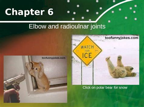 PPT Chapter 6 Elbow And Radioulnar Joints Click On Polar Bear For