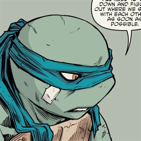 #leonardo tmnt icons on Tumblr