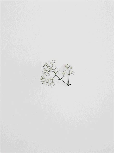 Download Minimalist Aesthetic Small Flowers Wallpaper