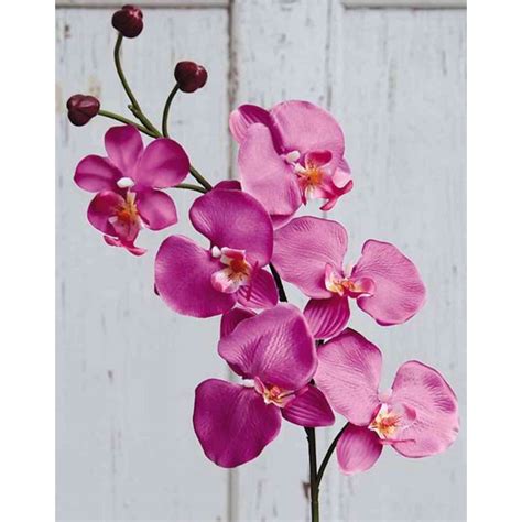 Acheter des Tige d orchidée Phalaenopsis en tissu XANDRA rose fuchsia