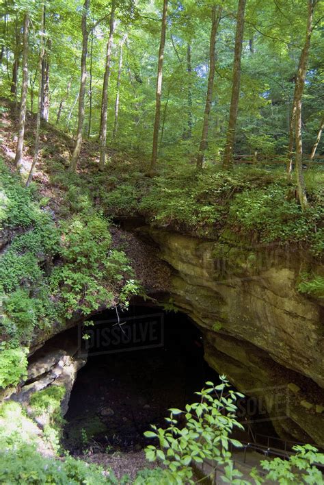 An Entrance To A Cave In A Forest Stock Photo Dissolve