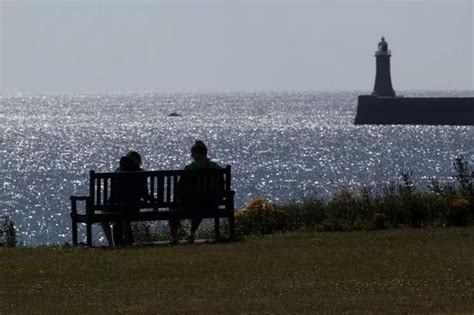Is It Illegal To Sunbathe In Your Garden Naked This Is What The Law Says Chronicle Live