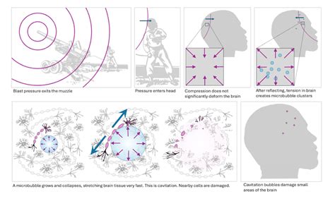 Low-level blasts from heavy weapons can cause traumatic brain injury − ...