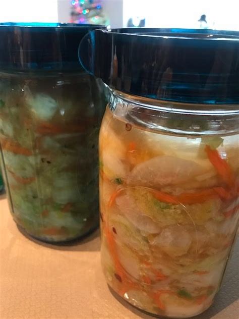 Kimchi: its probiotic benefits and the recipe | My Gut Matters