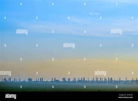 landscape    tree  blue clouds background stock photo