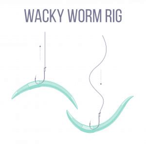 Wacky Rig Secrets: How to Catch More Fish Than Ever Before with this ...