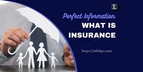 insurance perfect information  insurance   finance