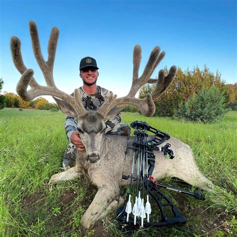 Mule Deer Hunt In Arizona Unit 17a Worldwide Trophy Adventures