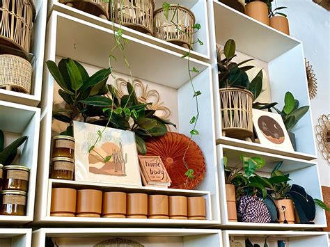 Fall Finds Spotted At Pigment — San Diego Picnics | Luxury Picnics