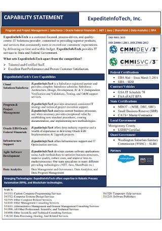 40+ FREE Capability Statement Samples to Download
