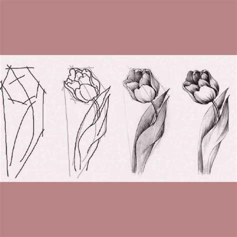 Графика Рисунок Карандашом Для Начинающих Поэтапно Картинки – Telegraph