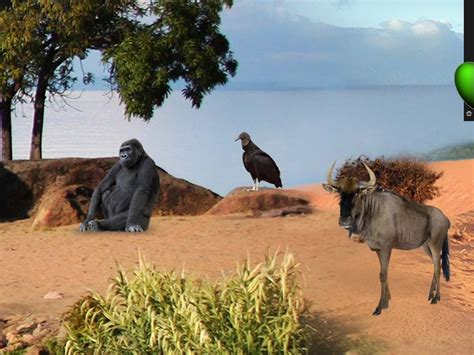 quickadvice animals  delivers  wonderful blend  education