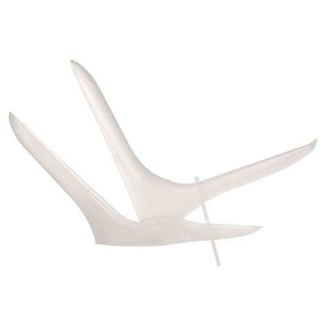 Vaginal Dilators Real Sex Love Doll Rsld