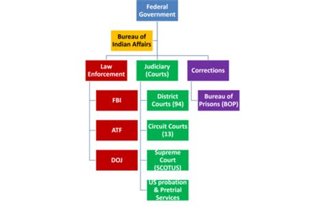 Criminal Justice Unit 3 Flashcards Quizlet