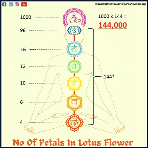 The 7 Chakras Light Code 144000 Jain 108 Academy Grand Temple Of