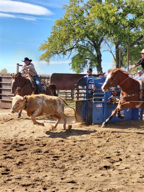 B\S Beef Sling Steer Wrestling Jackpots