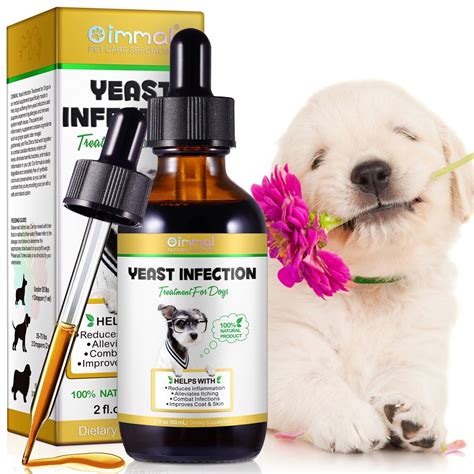 home remedies for yeast infection in dogs 11