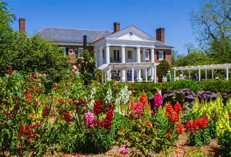 Home Boone Hall Plantation Gardens Mt Pleasant Sc