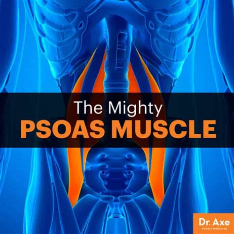 Psoas Muscle Back Pain