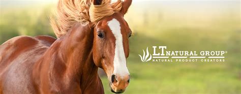 Natural Product Creators | LT Natural Group srl