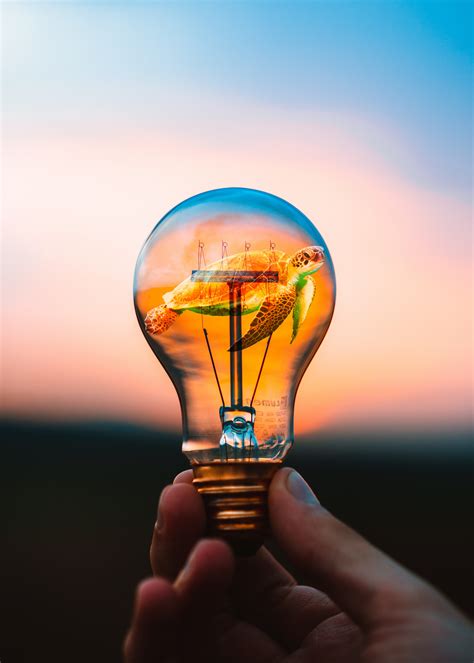 Multiplayer modes will be added to the Bolddle experience next month 11