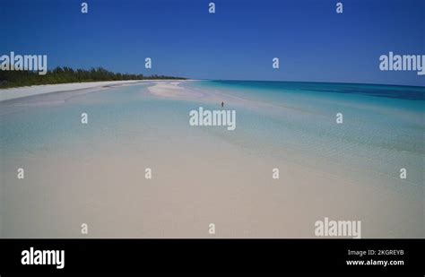 Girl In Bikini Holding Conch Shell Walks In Paradise On Beach Drone
