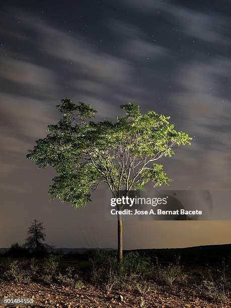 81 Lone Star Sky Stock Photos High Res Pictures And Images Getty Images