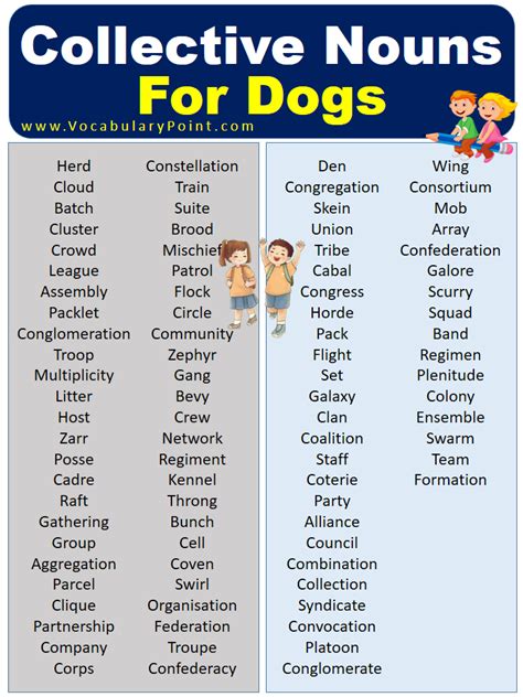 Collective Nouns For Dogs (With Meaning and Examples) - Vocabulary Point