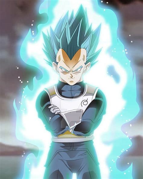 Vegeta Pr Ncipe Dos Sayajin Dragon Ball Super Saiyan Blue Dragon