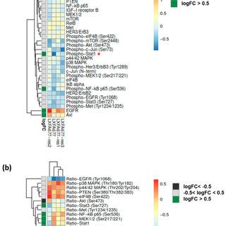 The Proteomic Landscape Was Determined By Rppa Analysis Of Four