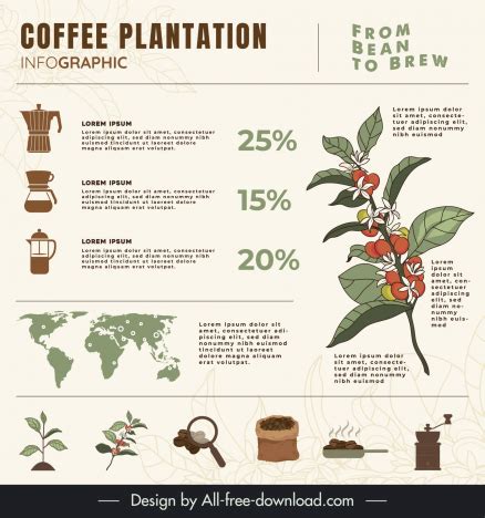 Coffee infographic template classical elegance vectors stock in format ...