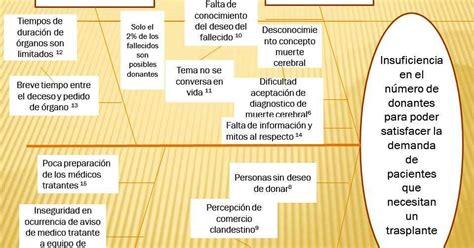 Da Ilusi N Diagrama De Ishikawa Donaci N De Rganos I