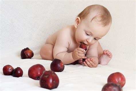 Panduan Pilihan Makanan Mpasi Pertama Untuk Gizi Si Kecil