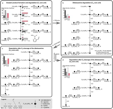 General Maillard Reaction Product Formation And Degradation Pathways Download Scientific